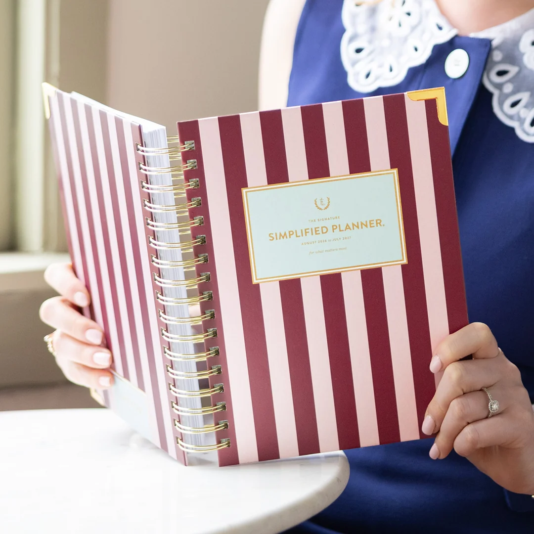 2026-2027 Spiral Daily Simplified Planner - Berry Stripe