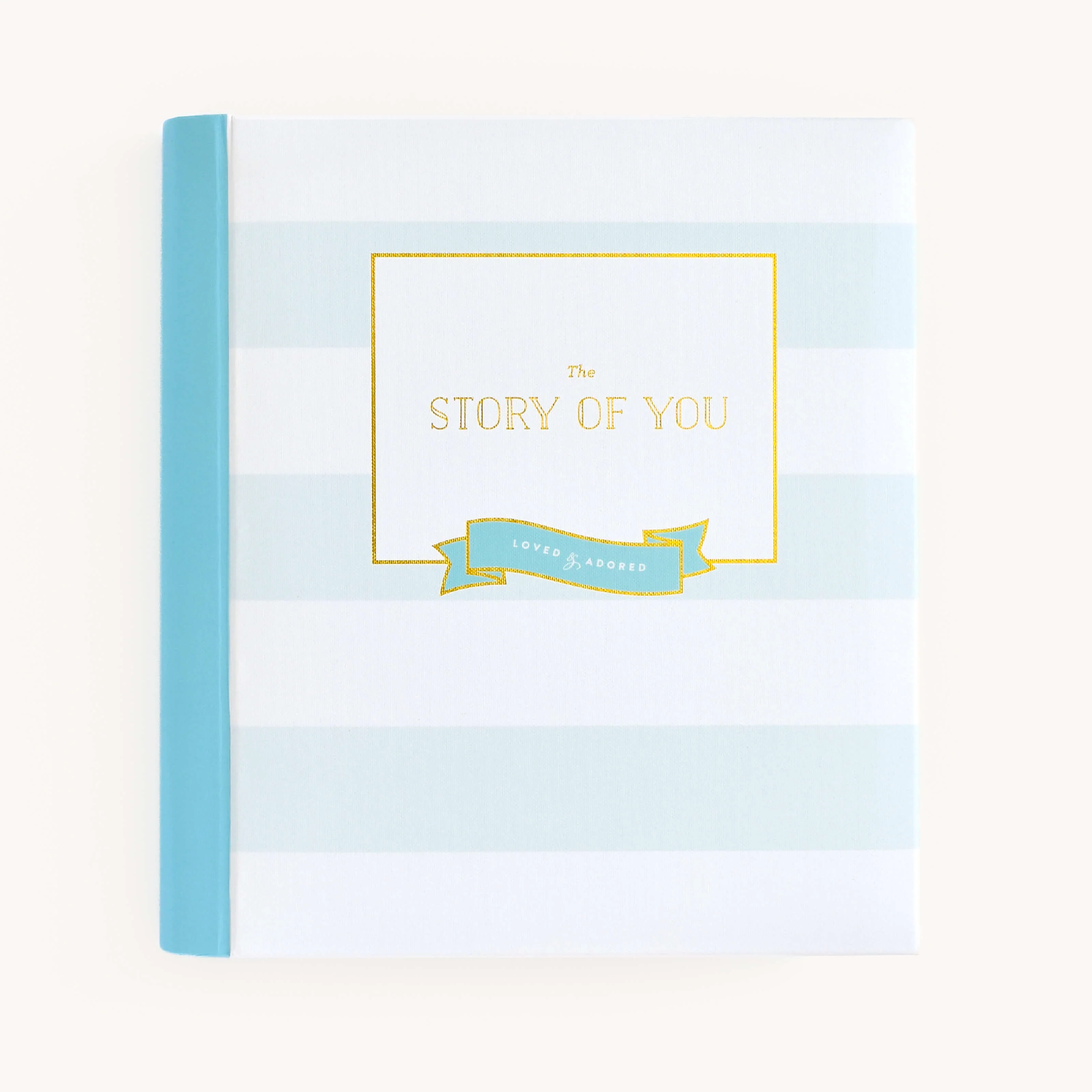 Baby Book - Mint