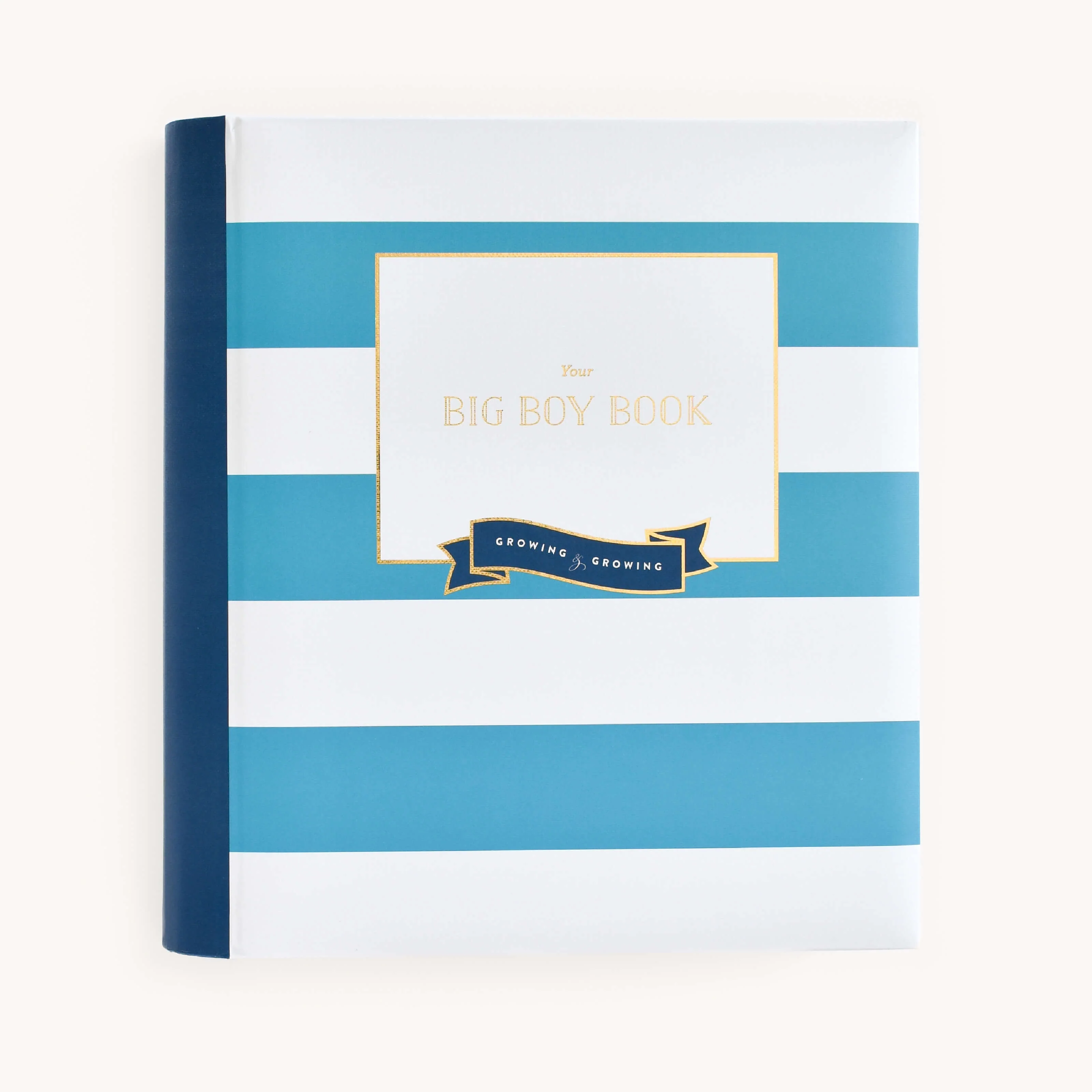 Big Kid Book - Teal