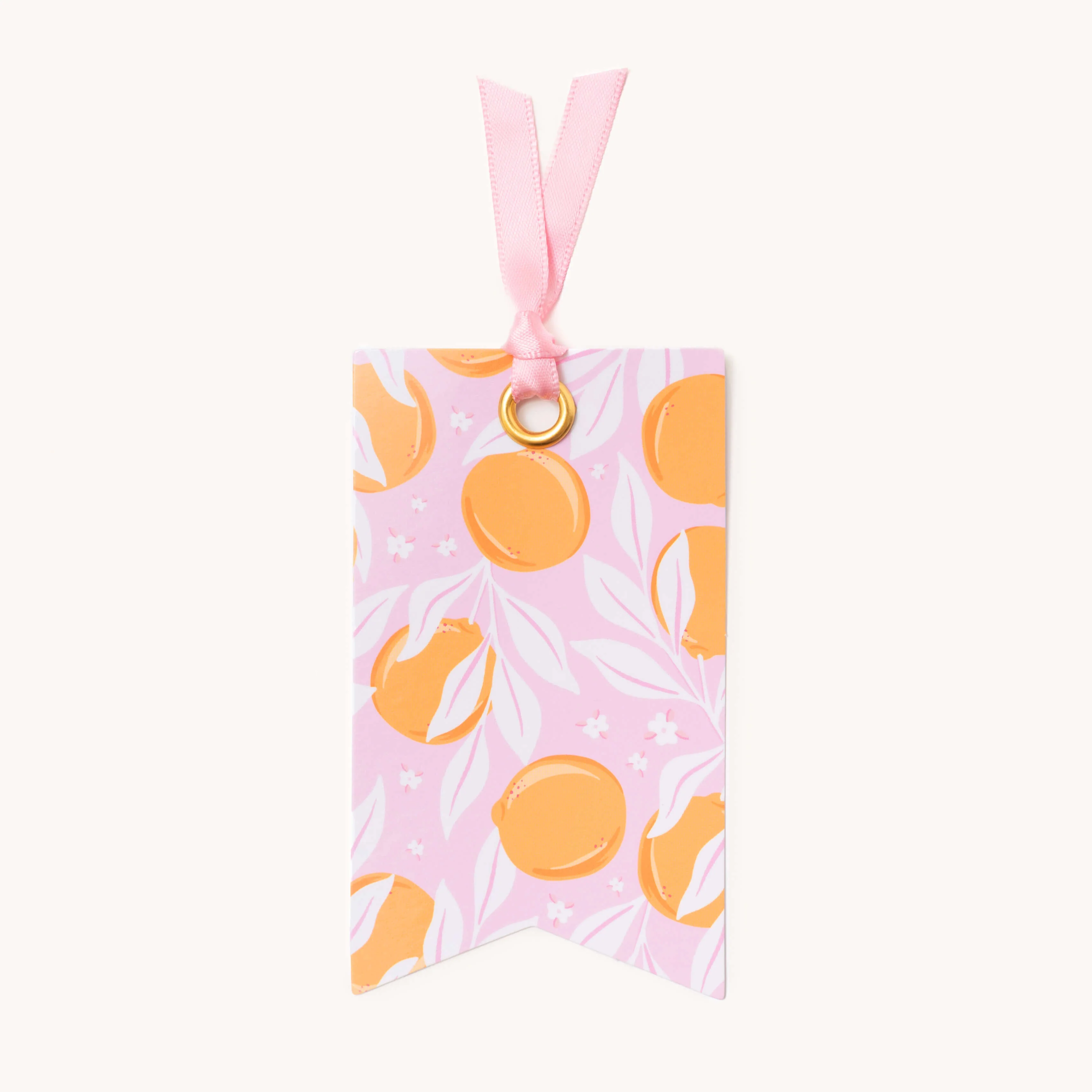Gift Tag Set - Blush Oranges