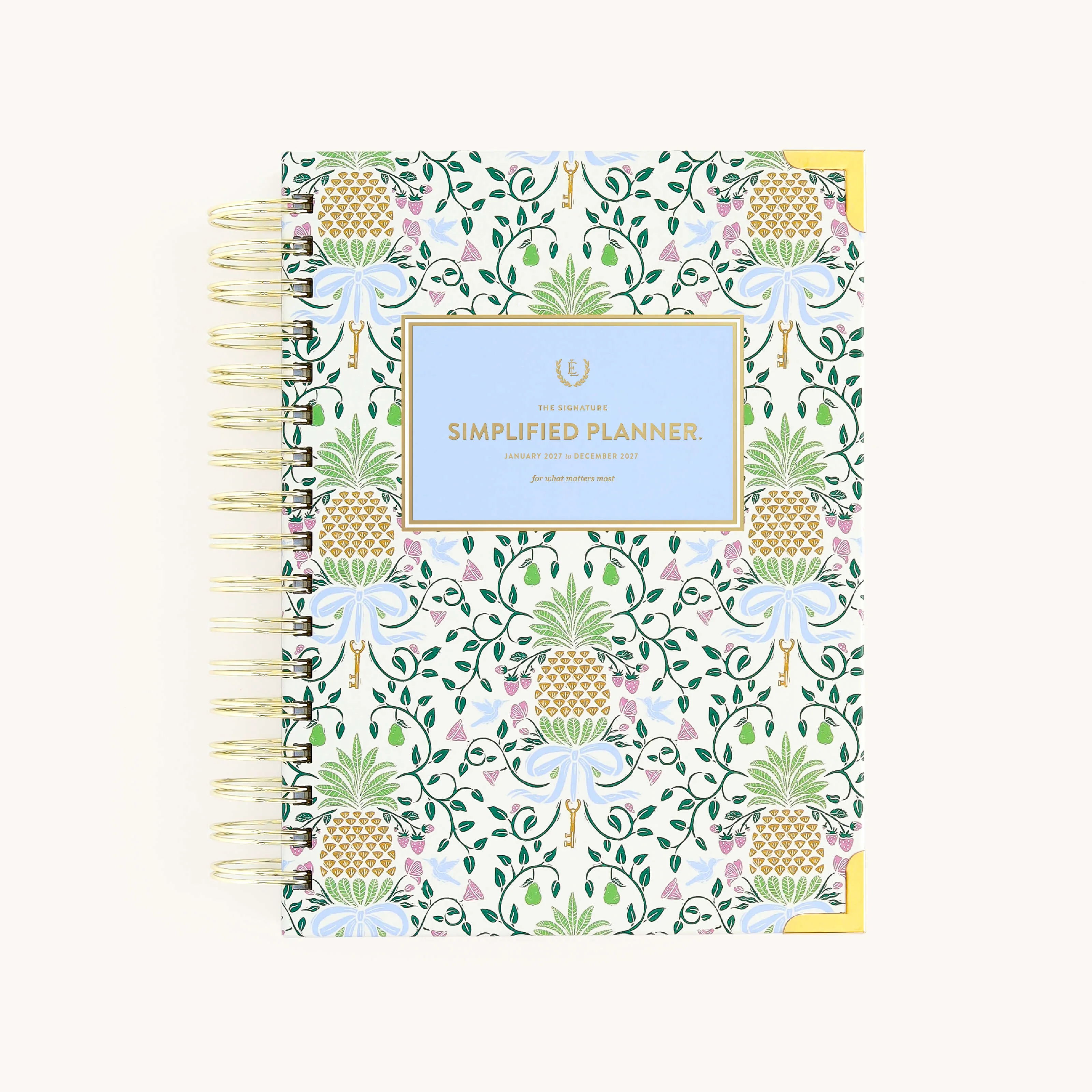 2027 Spiral Daily Simplified Planner - Pineapple Charm