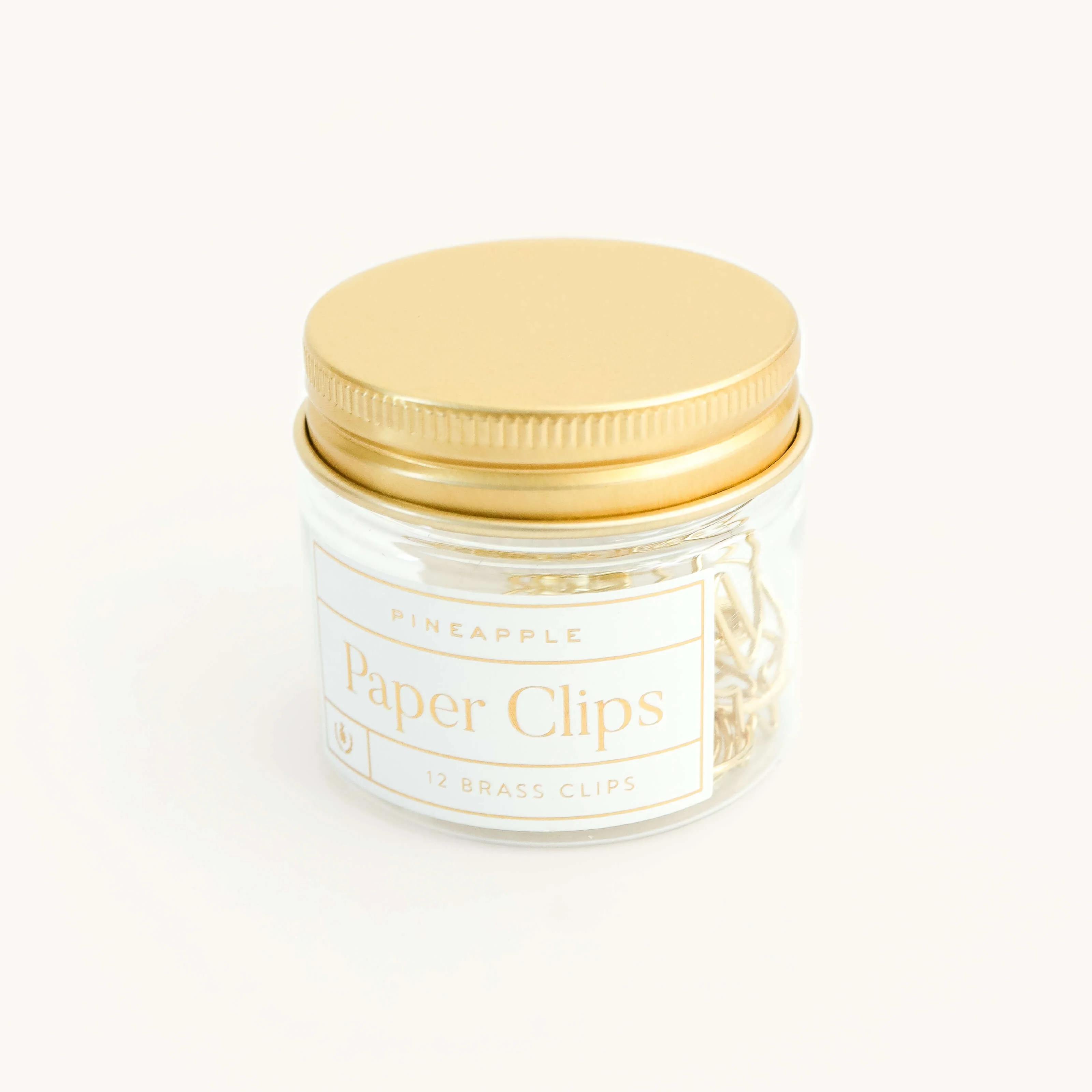 Paper Clips - Pineapples